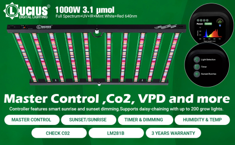 Lucius 120W Three-Side LED Light!