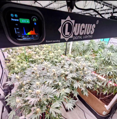 JUST RELEASED...This is what we've been WAITING FOR!