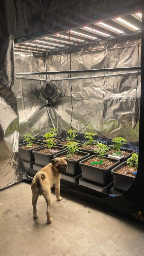 Checking on the tiny plants while soaking up the warmth of our Grow Lights sun