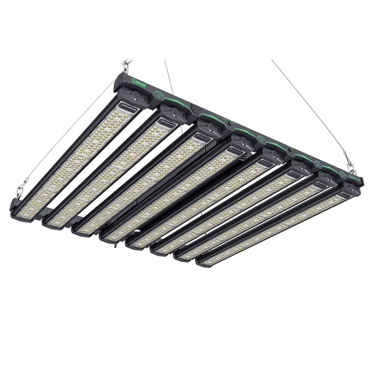 Top Features To Look For In The Best Budget 1200W LED Grow Lights