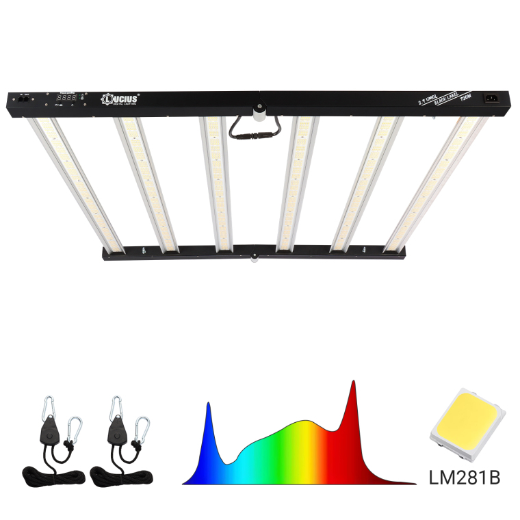 What Color Light Is Best For Growing Plants?