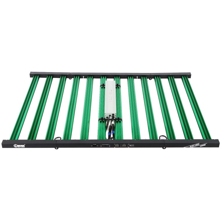The Top Features Of 1200W Energy Efficient Grow Lights That Benefit Your Plants
