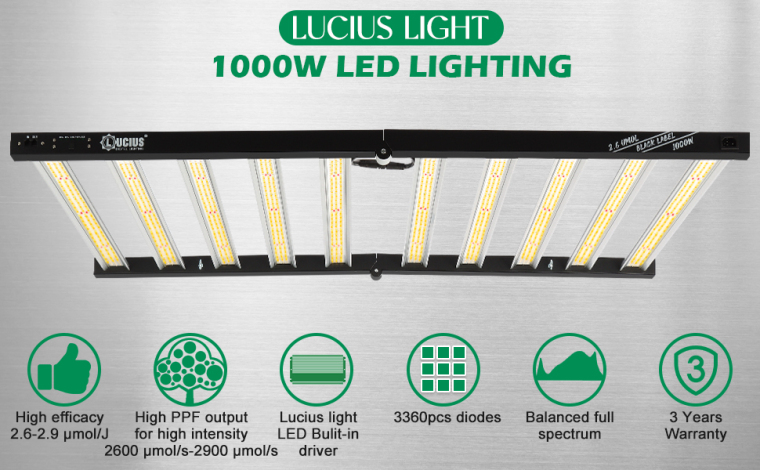 The Pros And Cons Of Full Spectrum LED Grow Lights