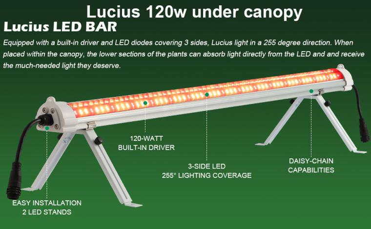 Why 120W Under Canopy Grow Lights Are Perfect For Indoor Gardens